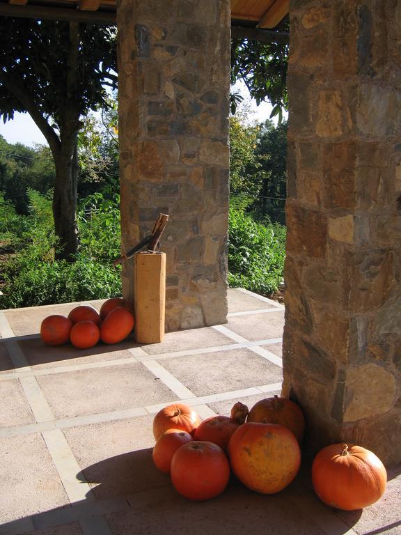 Agriturismo Sogni D' Orto Bed & Breakfast Faedis Екстериор снимка