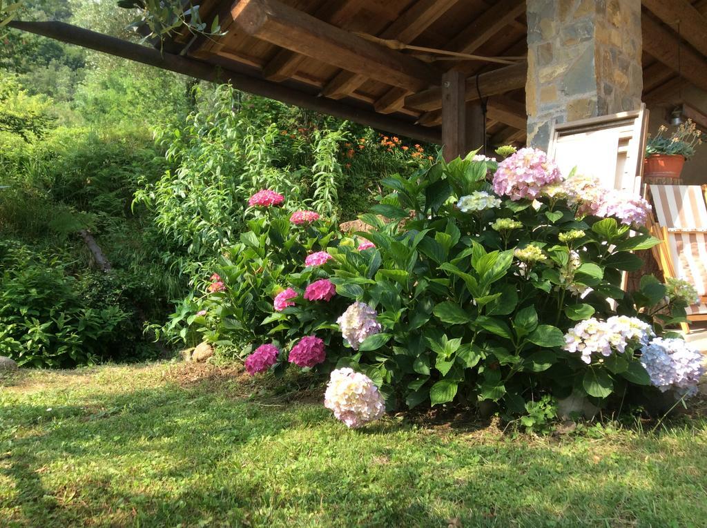Agriturismo Sogni D' Orto Bed & Breakfast Faedis Екстериор снимка