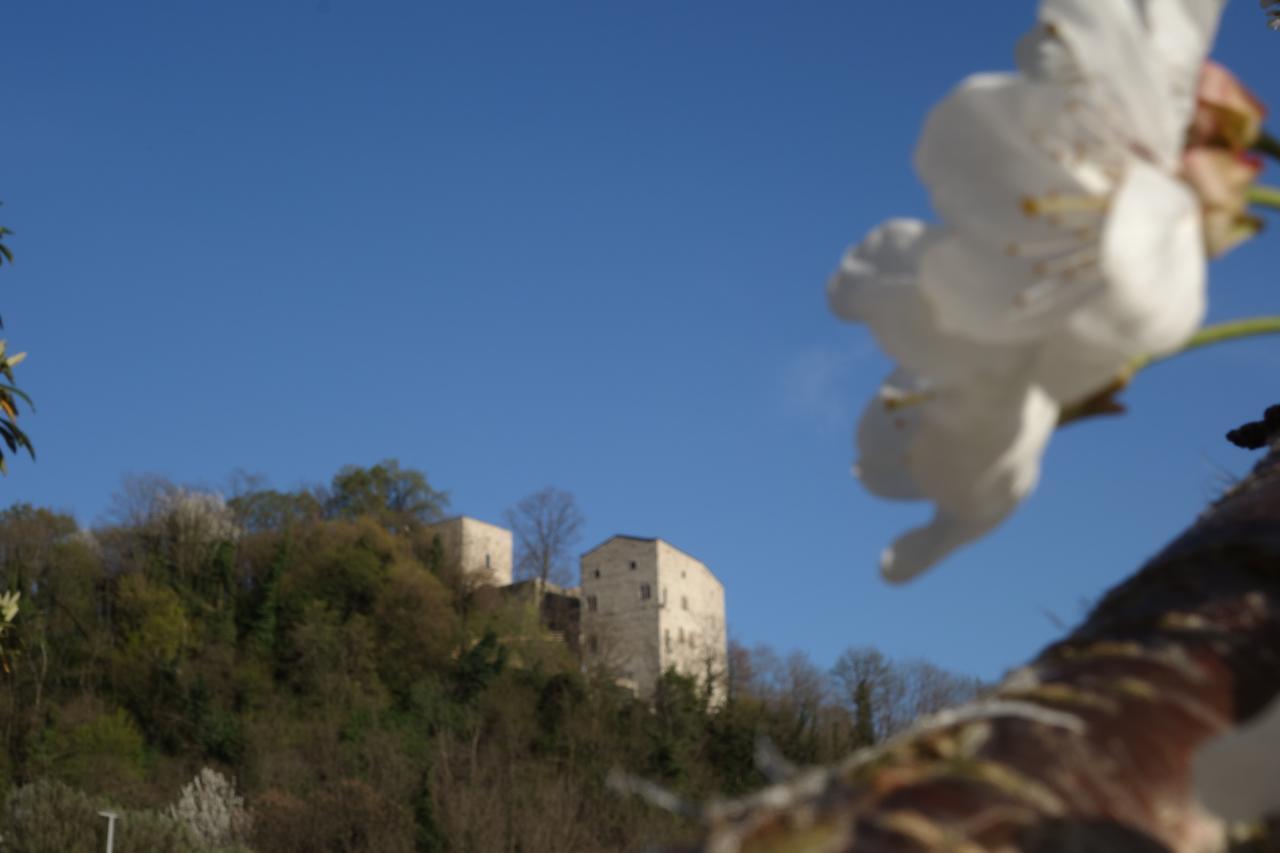 Agriturismo Sogni D' Orto Bed & Breakfast Faedis Екстериор снимка