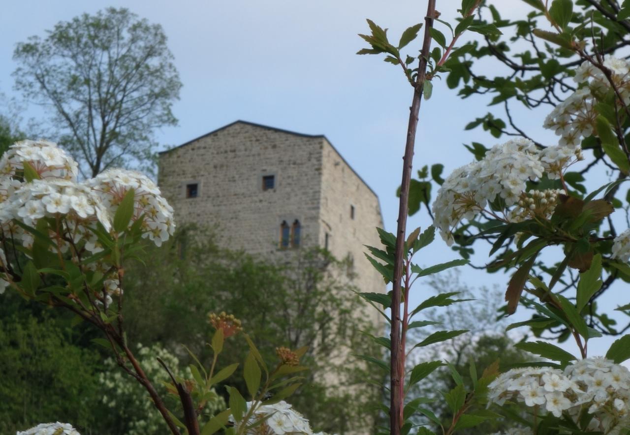 Agriturismo Sogni D' Orto Bed & Breakfast Faedis Екстериор снимка