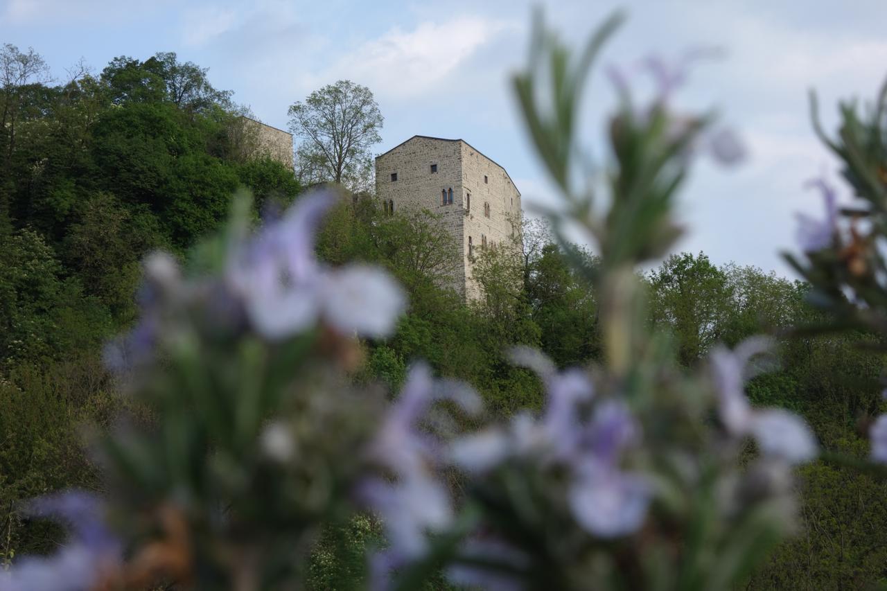 Agriturismo Sogni D' Orto Bed & Breakfast Faedis Екстериор снимка