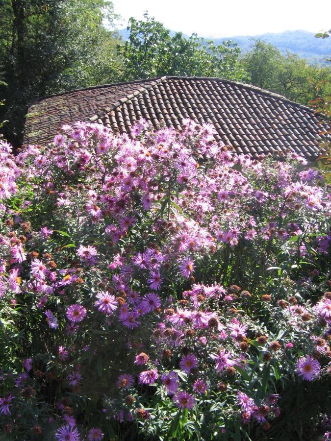 Agriturismo Sogni D' Orto Bed & Breakfast Faedis Екстериор снимка
